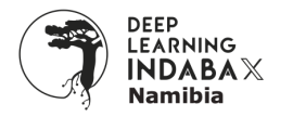 Deep Learning Indaba X Namibia logo